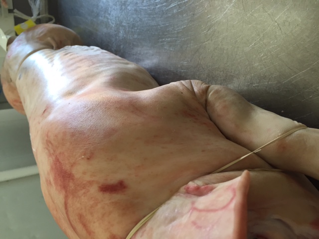 spit roast whole pig